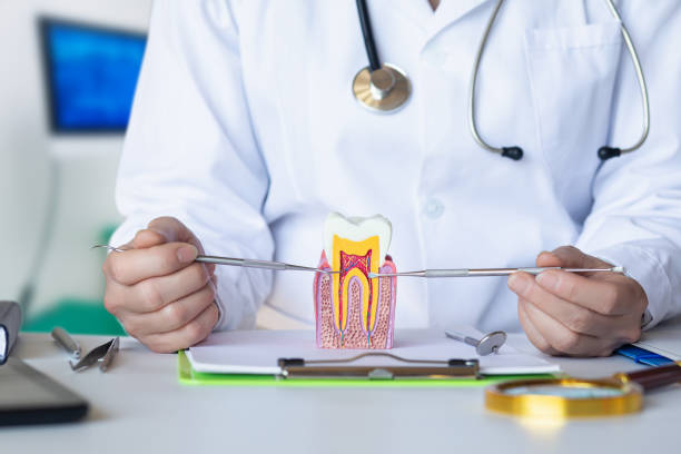 Best After-Hours Dental Trauma Care in Reading, OH